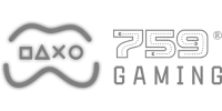 Mega Win 40 logo